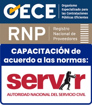 Curso Virtual de Gestión Pública